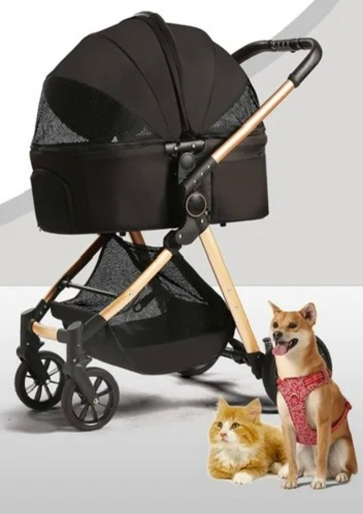 Pet stroller in store near clearance me