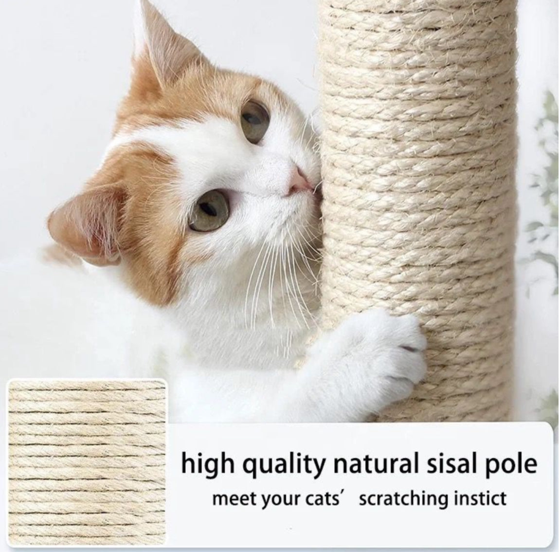 Premium Paws - 75 cm Cat Scratch Post - Cat Tree – Cat Tower