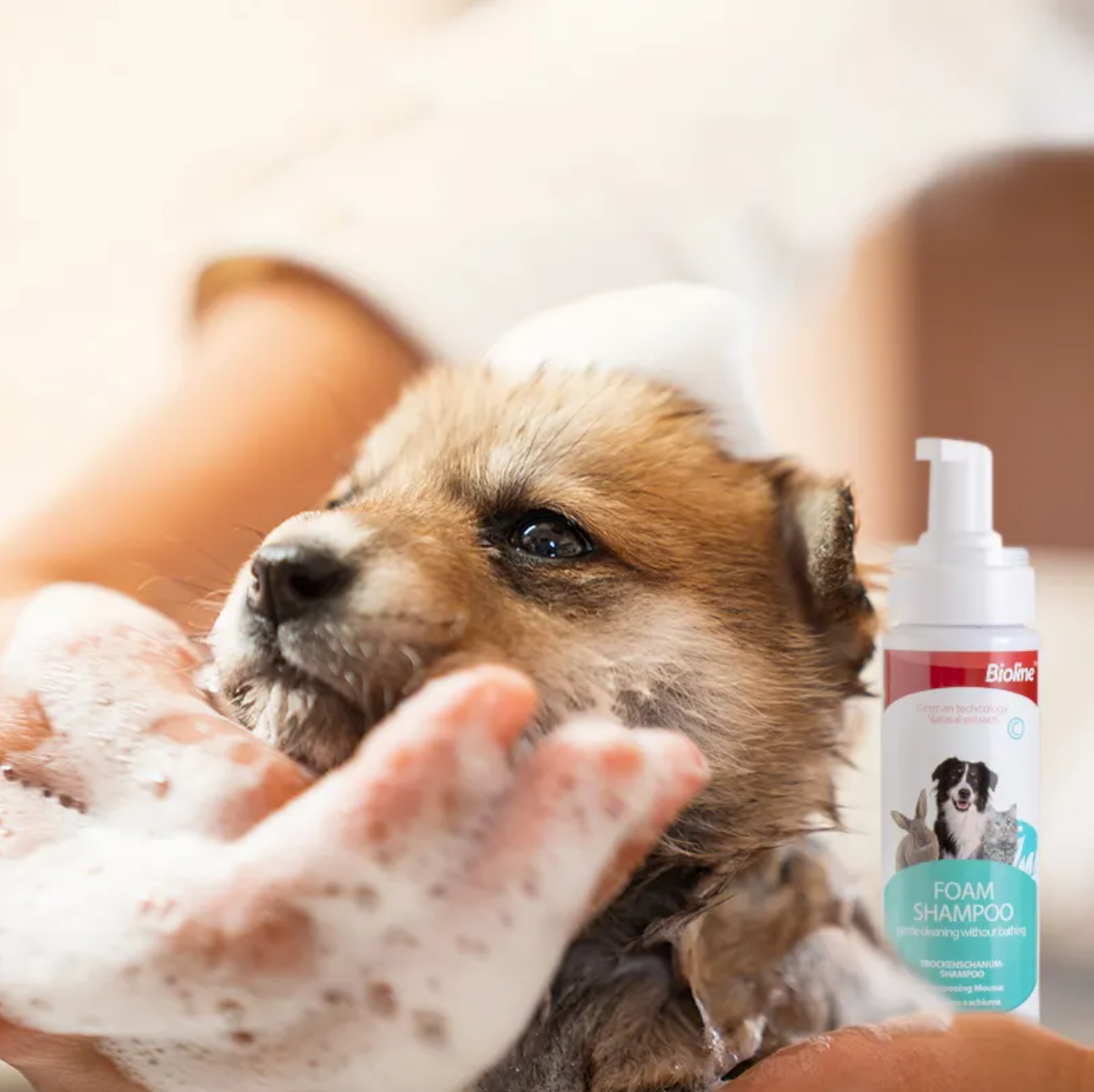 Premium Paws – Bioline - Waterless Foam Shampoo for Cats & Dogs