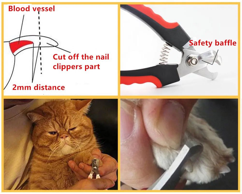 Premium Paws - Stainless Steel Nail Clippers for Cats & Small Pets