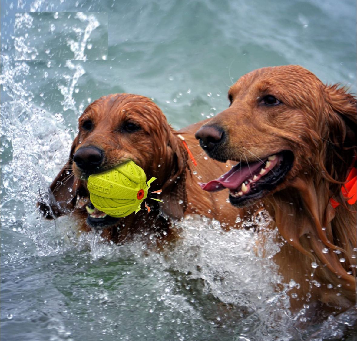 Release Boredom & Anxiety with a Yummy Interactive Ball - Giggle Treat Ball