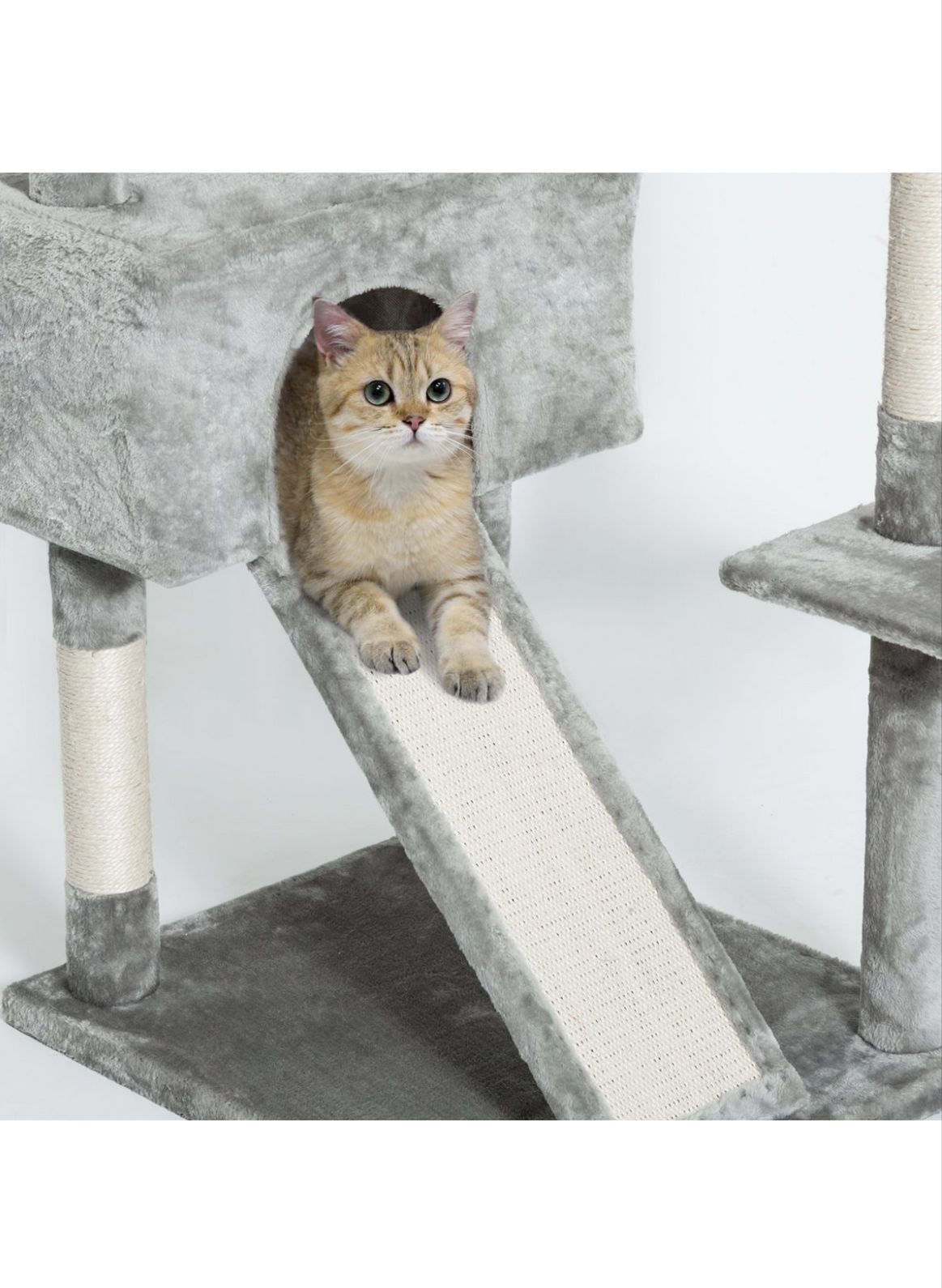 Premium Paws – 210 cm Cat Scratch Post - Cat Tree – Cat Tower