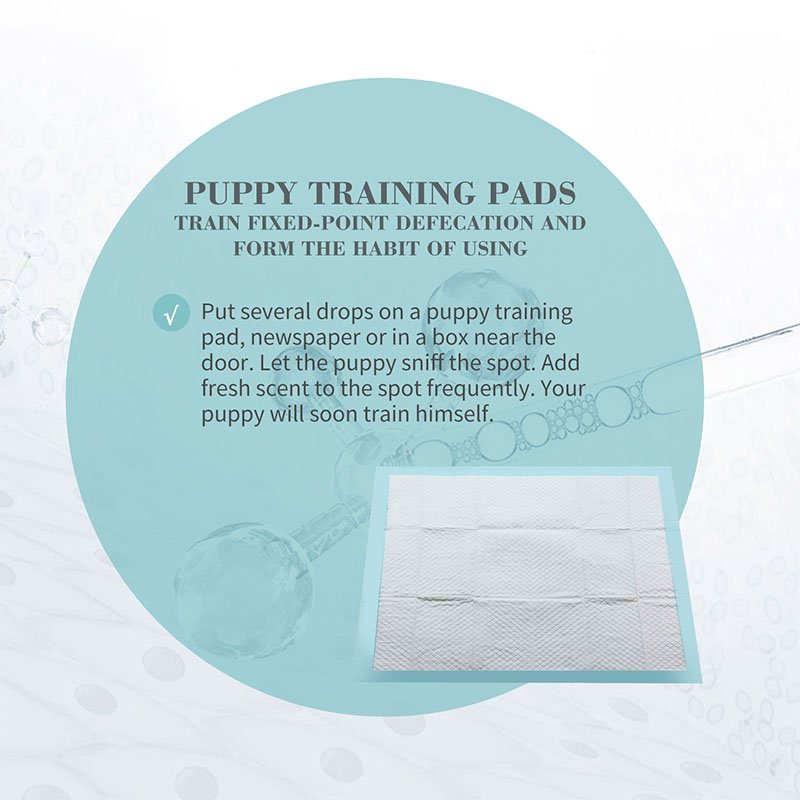 Premium Paws – Pet Training Pads – Ultra-Absorbent Disposable Pads